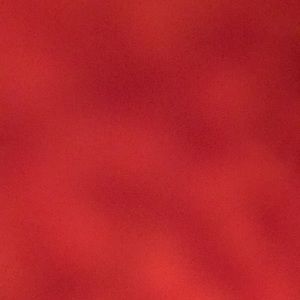 Meet your Posher, Ava